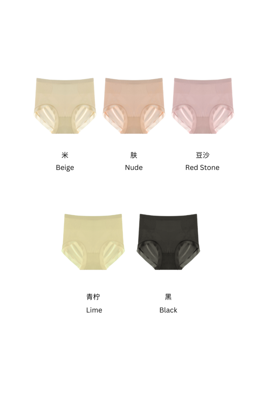 BAILEY HIGH WAIST TUMMY SUPPORT PANTIES