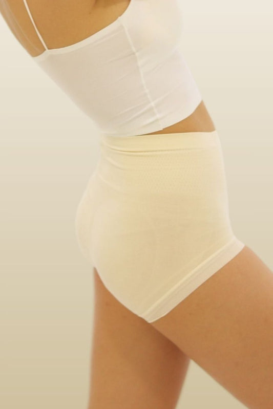 BAILEY HIGH WAIST TUMMY SUPPORT PANTIES